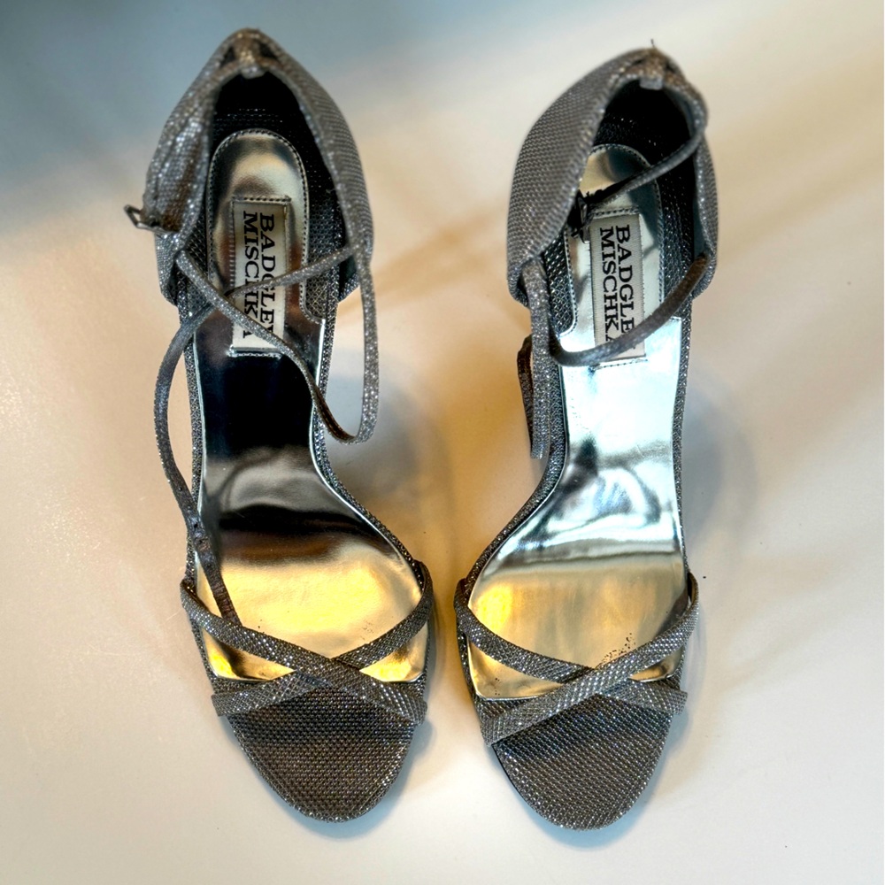 BADGLEY MISCHKA DOMINIQUE SILVER MESH 8 1/2M